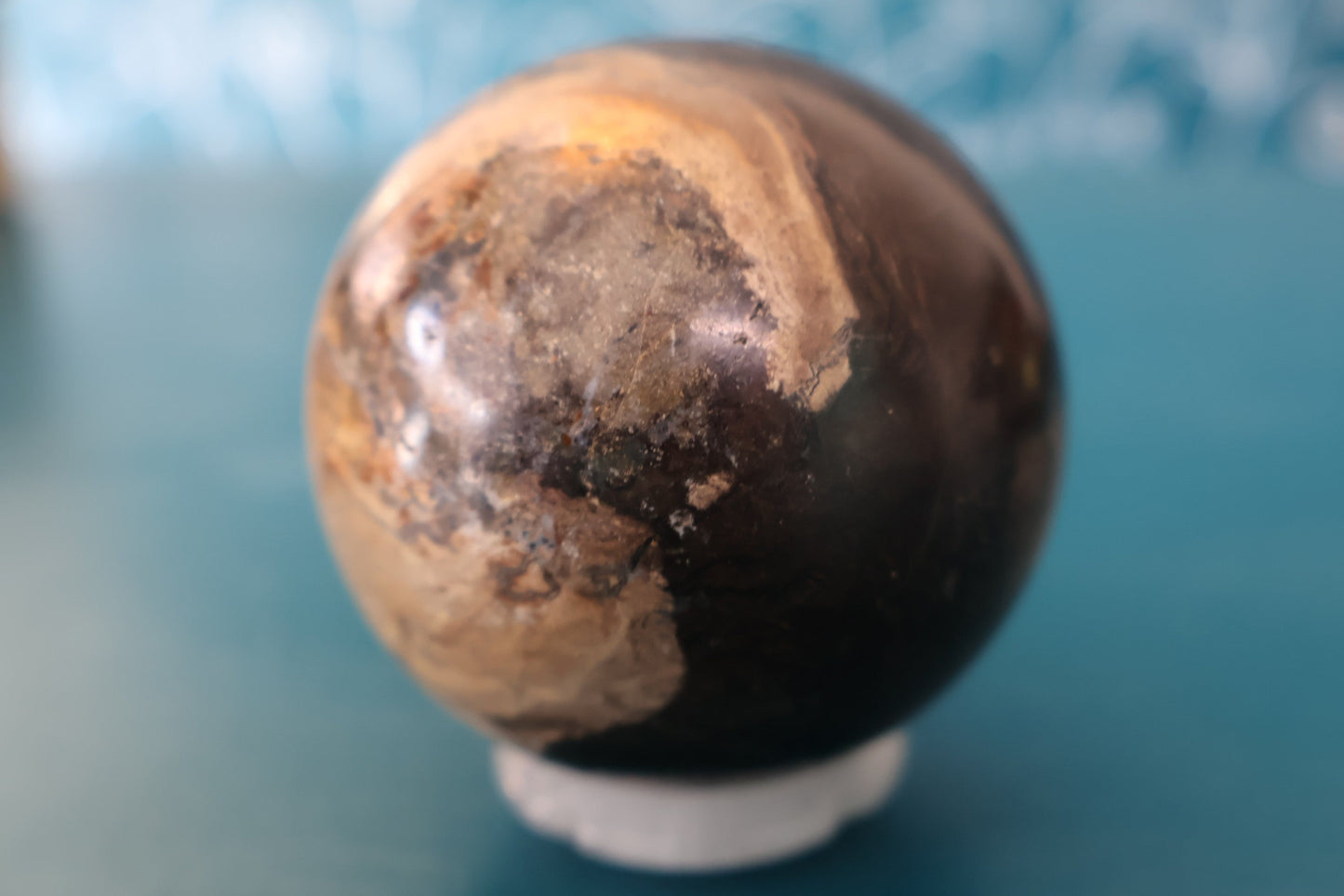 Petrified Wood Sphere