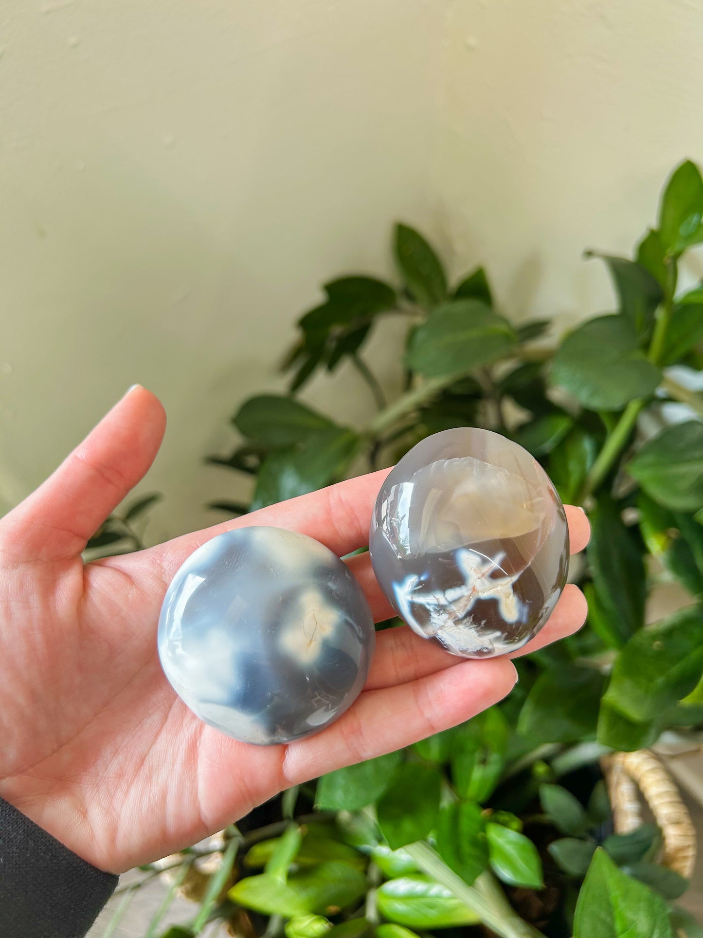 Orca Agate Palm