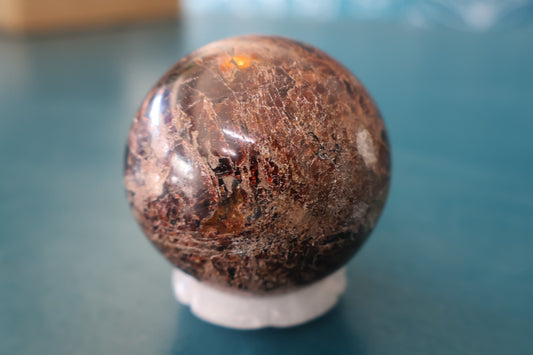 Petrified Wood Sphere