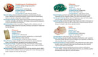 Crystal Basics Pocket Encyclopedia by Nicholas Pearson