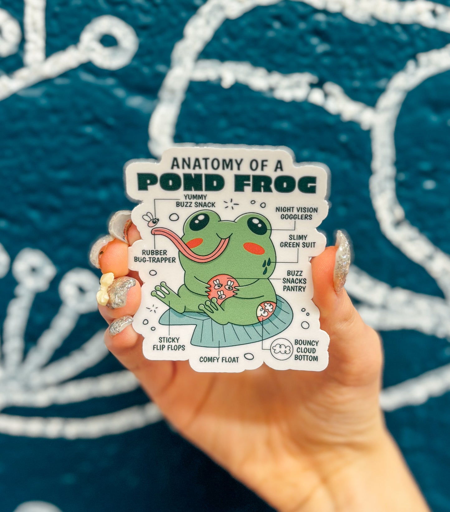 Anatomy of a Frog Sticker