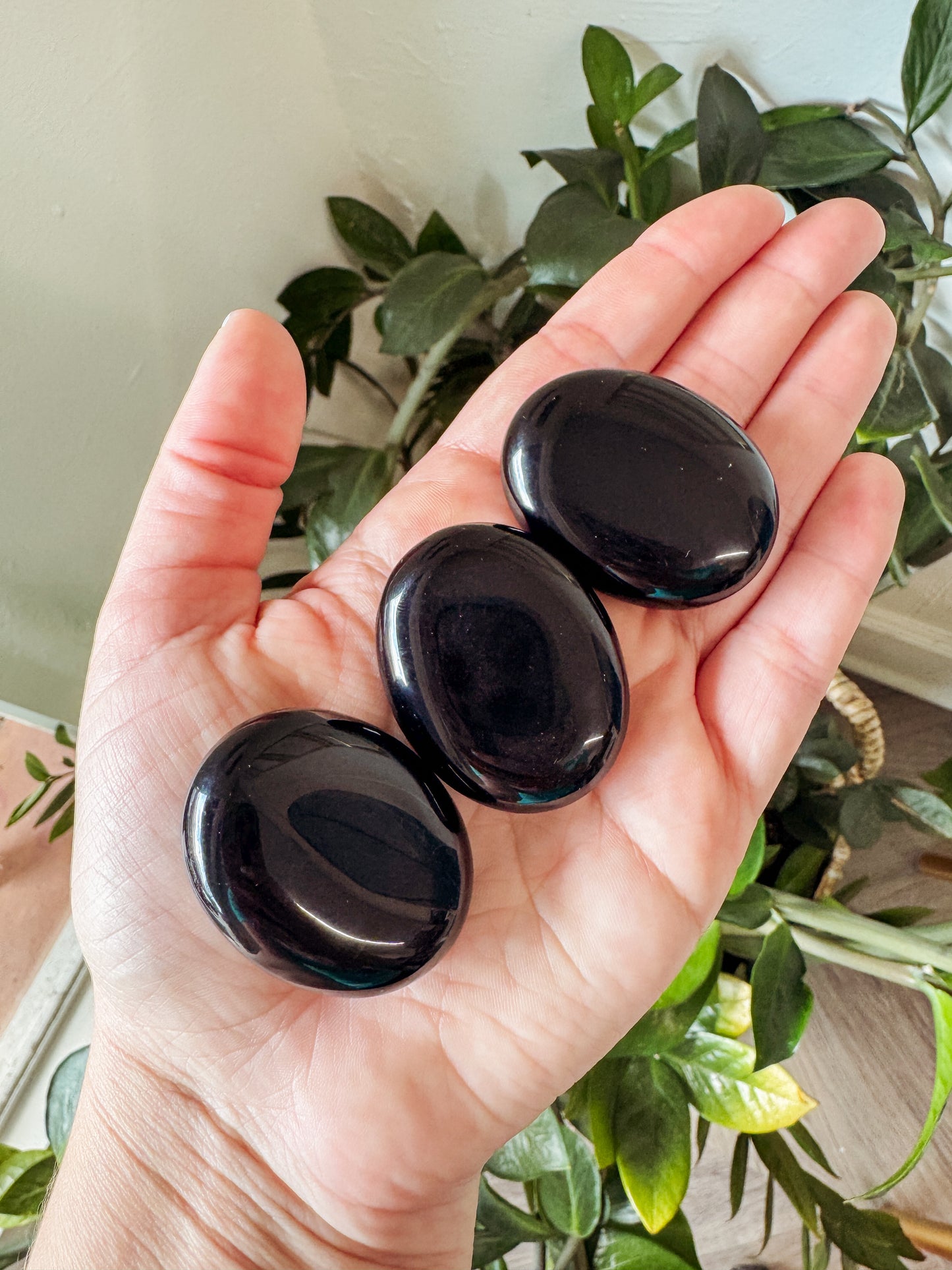 Black Obsidian Palm