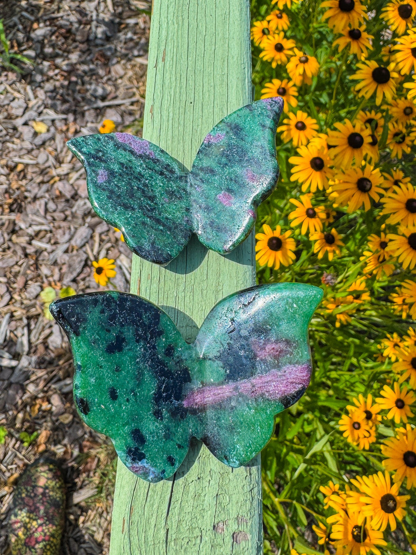 3D Butterfly