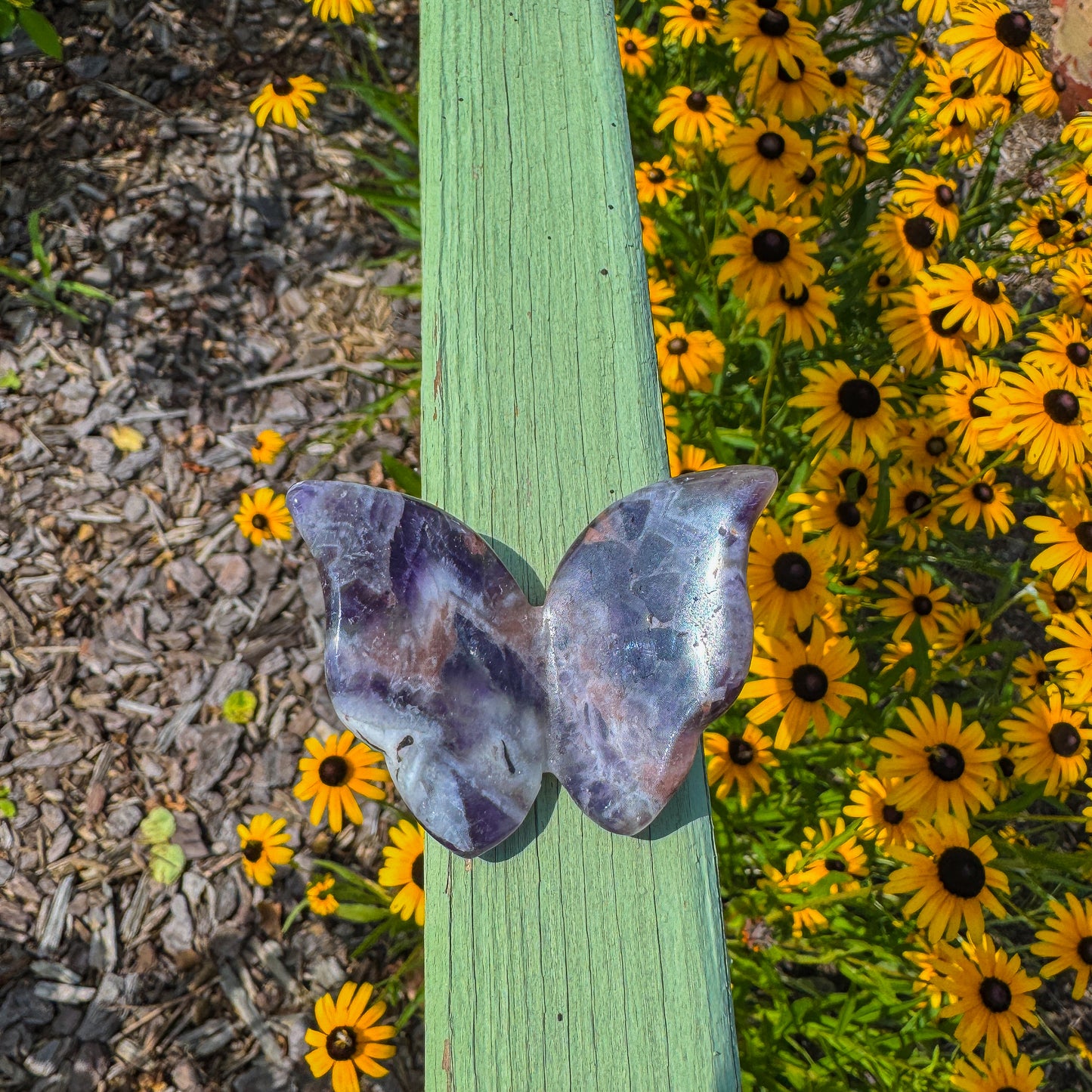 3D Butterfly