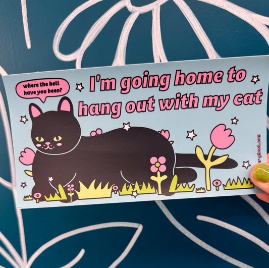 Hang Out With My Cat Bumper Sticker