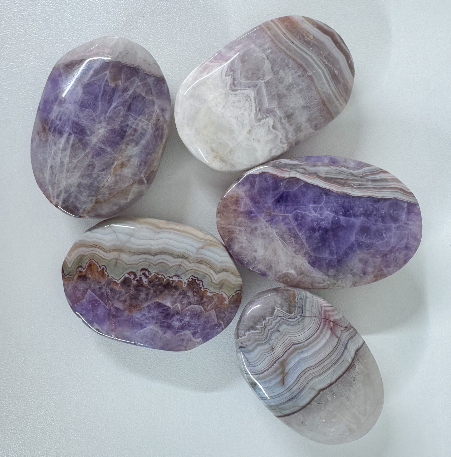 Amethyst/Crazy Lace Palm