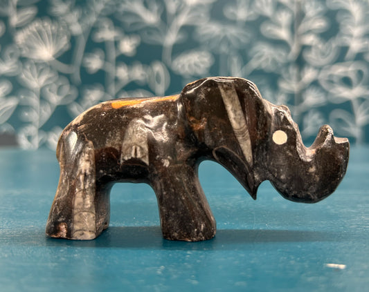 Orthocreas Fossil Polished Elephant