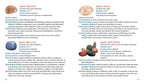 Crystal Basics Pocket Encyclopedia by Nicholas Pearson